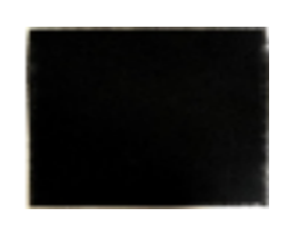 Filtr deodoryzujący do oczyszczacza powietrza Wells AL106